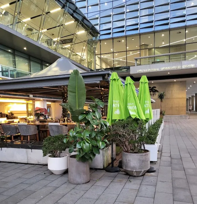 Planar Restaurant Picture 8