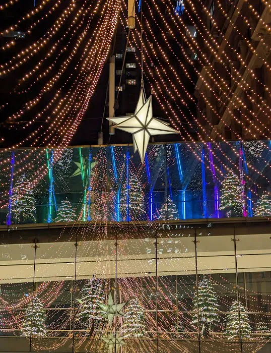 Horse's Head Bar Picture 10