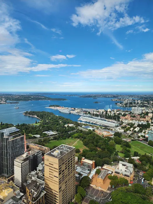 Bar 83 at Sydney Tower Picture 9