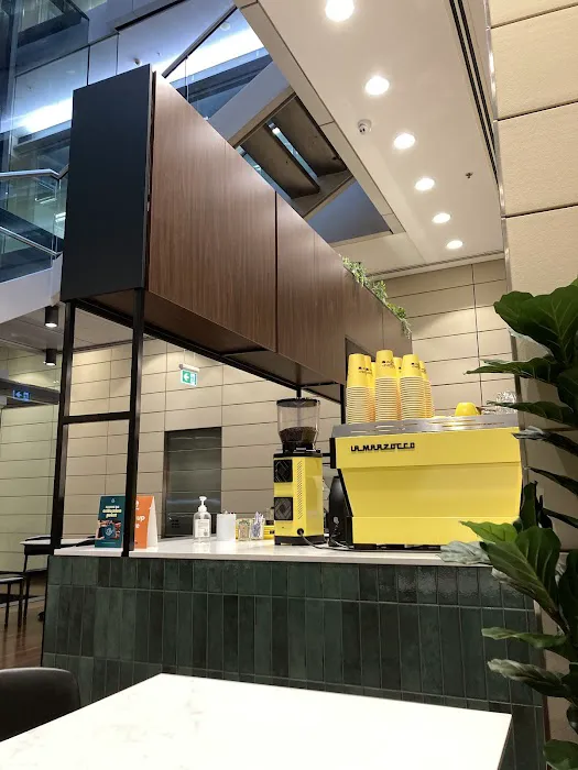 Yellow coffee Picture 1