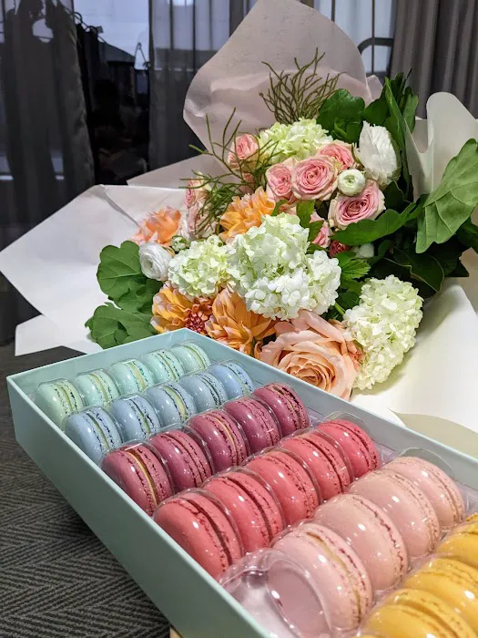 La Belle Miette Picture 2