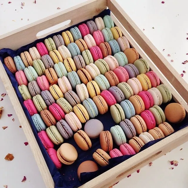 La Belle Miette Picture 9