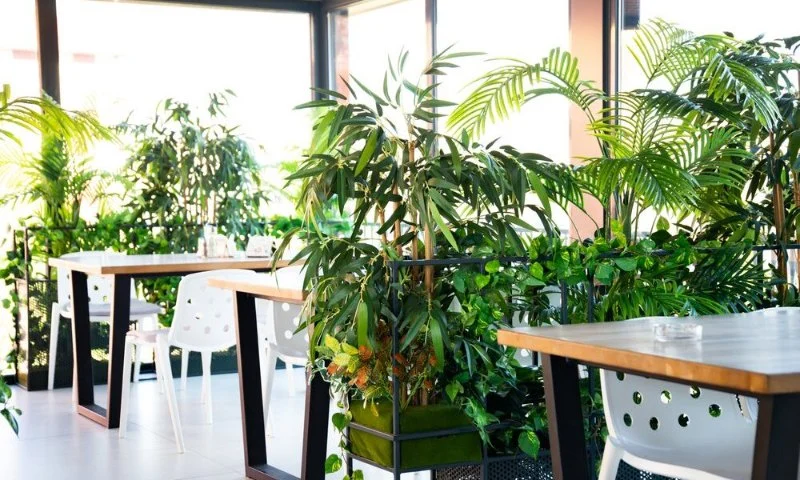The Best Eco-Friendly Restaurants in Sydney Leading the Sustainability Charge
