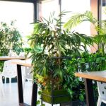 The Best Eco-Friendly Restaurants in Sydney Leading the Sustainability Charge
