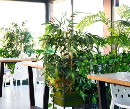 The Best Eco-Friendly Restaurants in Sydney Leading the Sustainability Charge