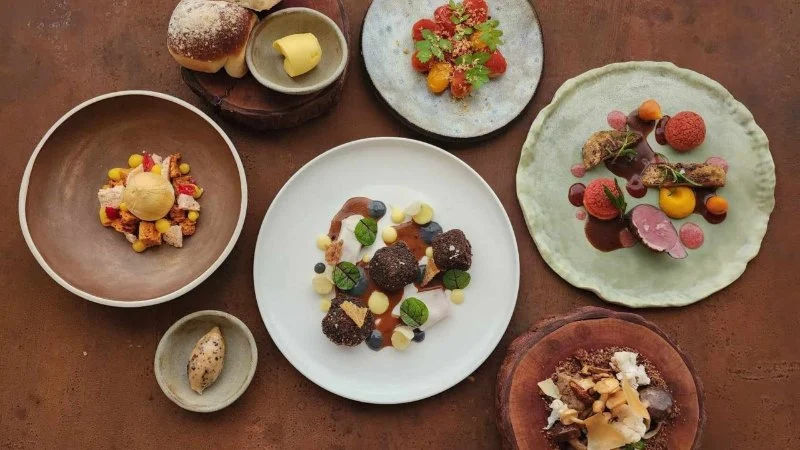 The Best Dining Spots in Australia for Chef-Led Tasting Menus and Behind-The-Scenes Access