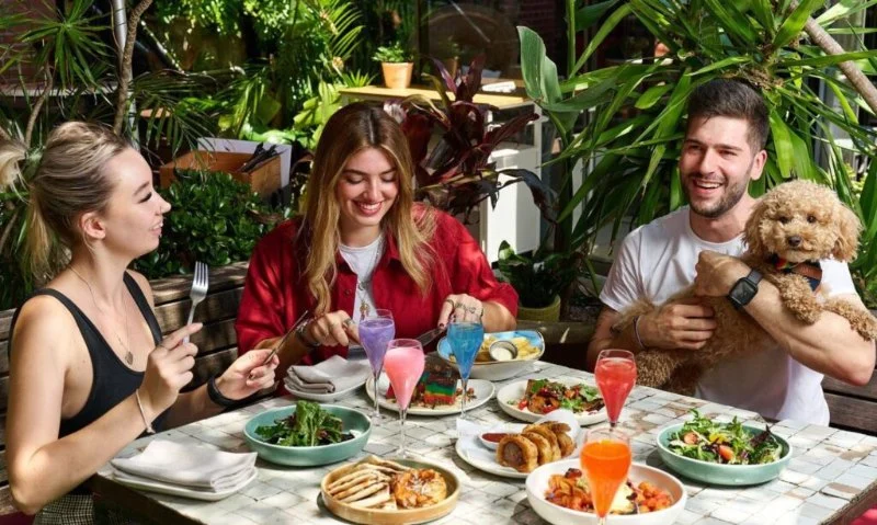 Top Restaurants in Sydney for Group Dining and Celebrations