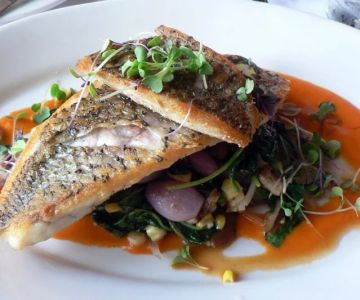 Best Restaurants in Sydney for Authentic Local Food Experience