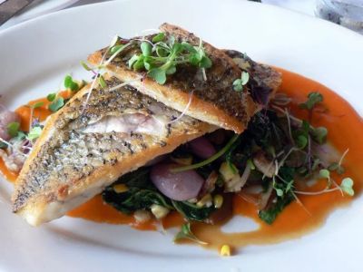 Best Restaurants in Sydney for Authentic Local Food Experience