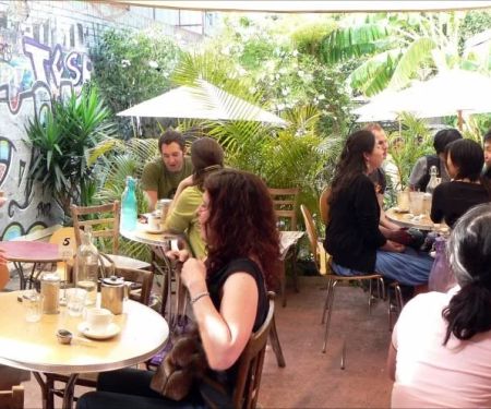 Best Cafes in Sydney with Outdoor Seating for Sunny Days and Fresh Air Guide