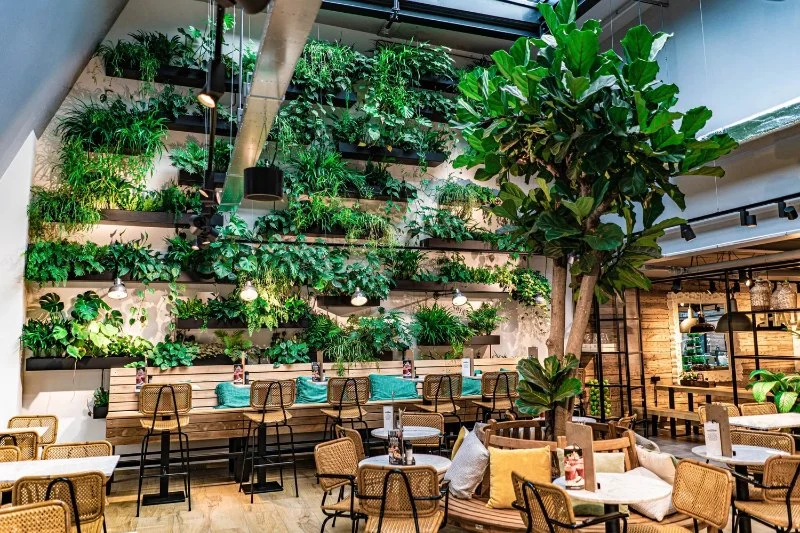 Best Restaurants in Australia for Sustainable and Eco-Friendly Dining