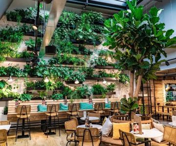 Best Restaurants in Australia for Sustainable and Eco-Friendly Dining