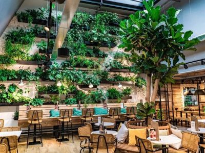 Best Restaurants in Australia for Sustainable and Eco-Friendly Dining