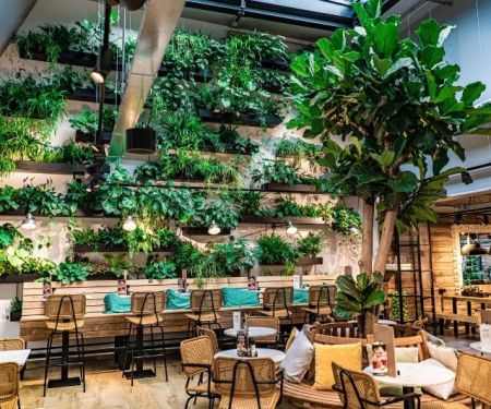 Best Restaurants in Australia for Sustainable and Eco-Friendly Dining