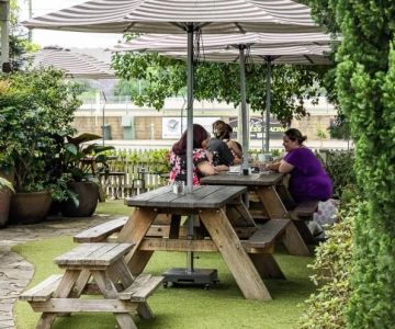 Best Cafes in Sydney for Garden Seating and Outdoor Dining Guide