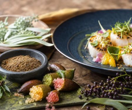 Australian Native Ingredient Menu Guide: Finger Lime, Wattleseed, and More